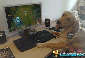 Good Year, From the Beginning of LOL!