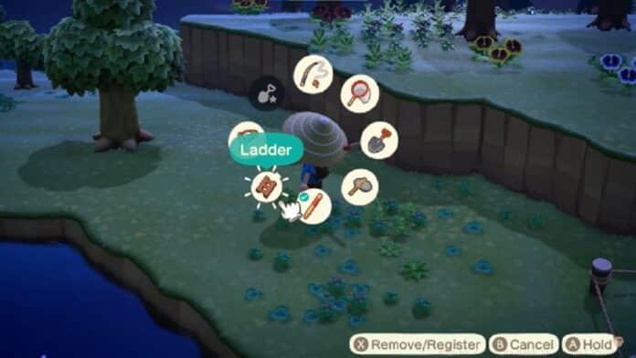 animal crossing ladder