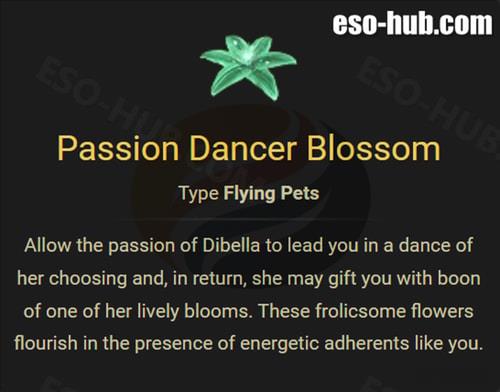 Passion Dancer Blossom Pet