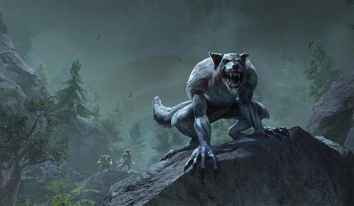 The Ultimate Guide to ESO Werewolf P2