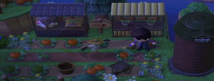 Animal Crossing Pumpkins