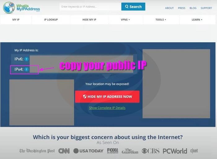 copy your public IP address