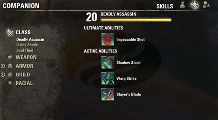 ESO Companion System Everything You Need to Know p3