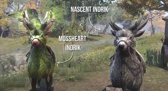 ESO Indrik Mount Guide How to Get Mossheart Indrik p1