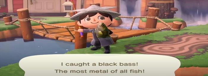 Animal Crossing New Bugs Fish