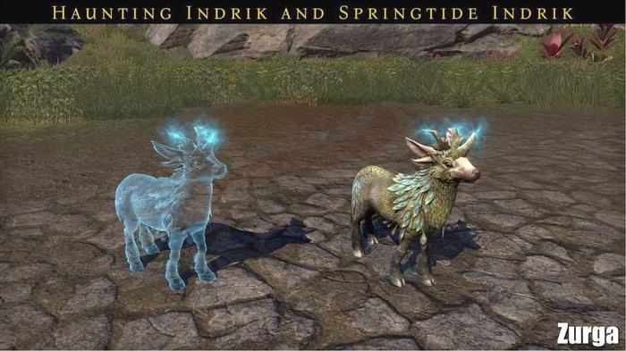 haunting indrik pet and springtide indrik pet