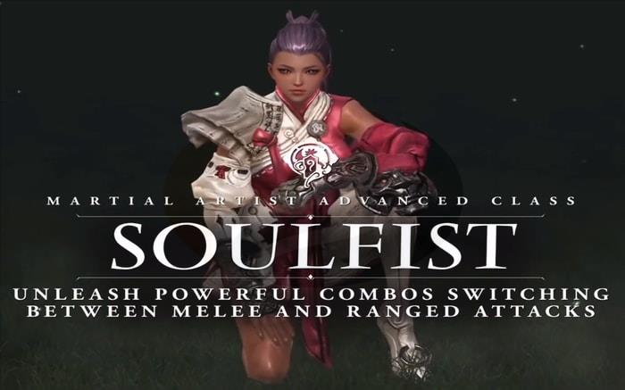 Lost Ark Soulfist 