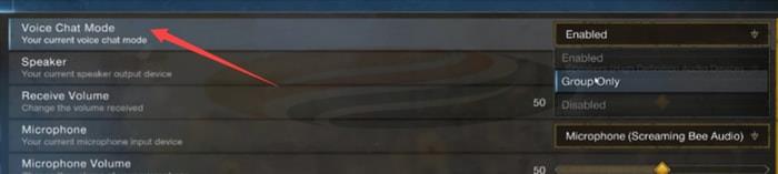 New World Voice Chat Mode