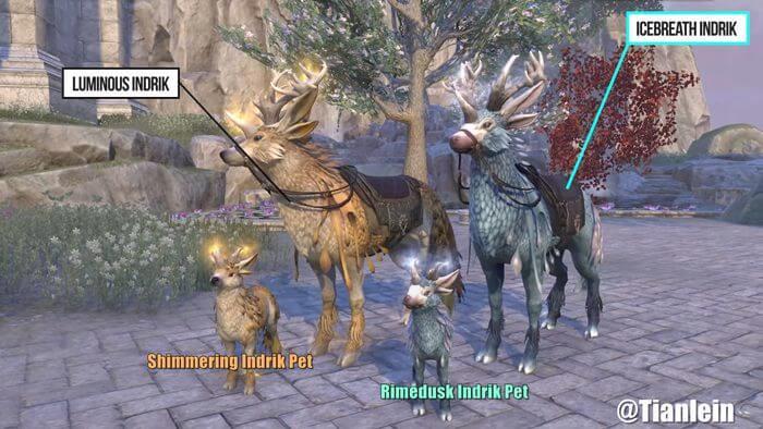 The Icebreath Indrik Mount and Lunimous Indrik Mount 2024 Zeal of Zenithar 