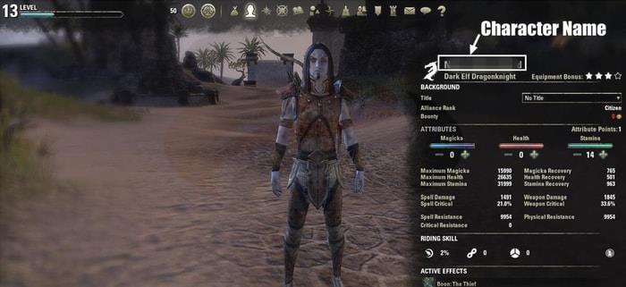 Top FAQ by First-Time ESO Gold Buyers P3 Character Name