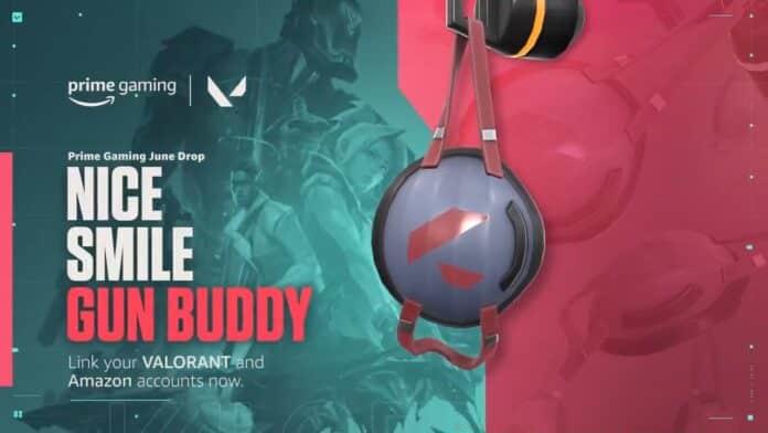 valorant nice smile gun buddy valorant nice smile gun buddy